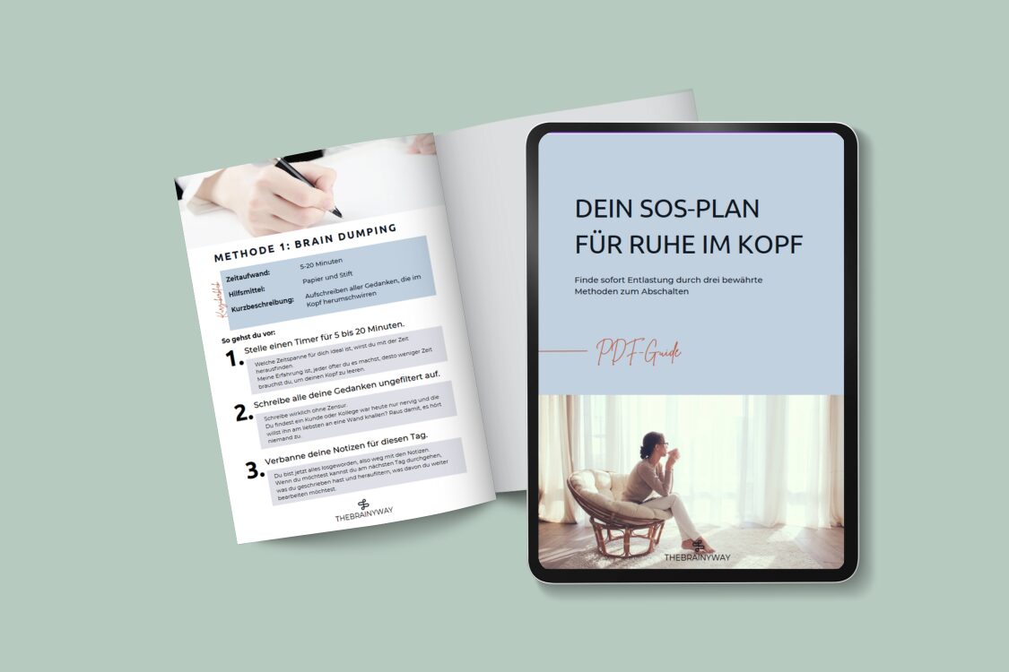 Vorschau SOS-Plan Ruhe im Kopf