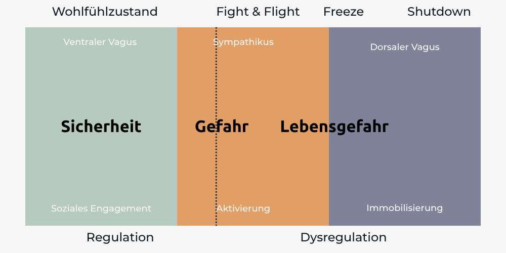 Grafik mit 3 Bereichen für die Abbildung verschiedener Nervensystemzustände