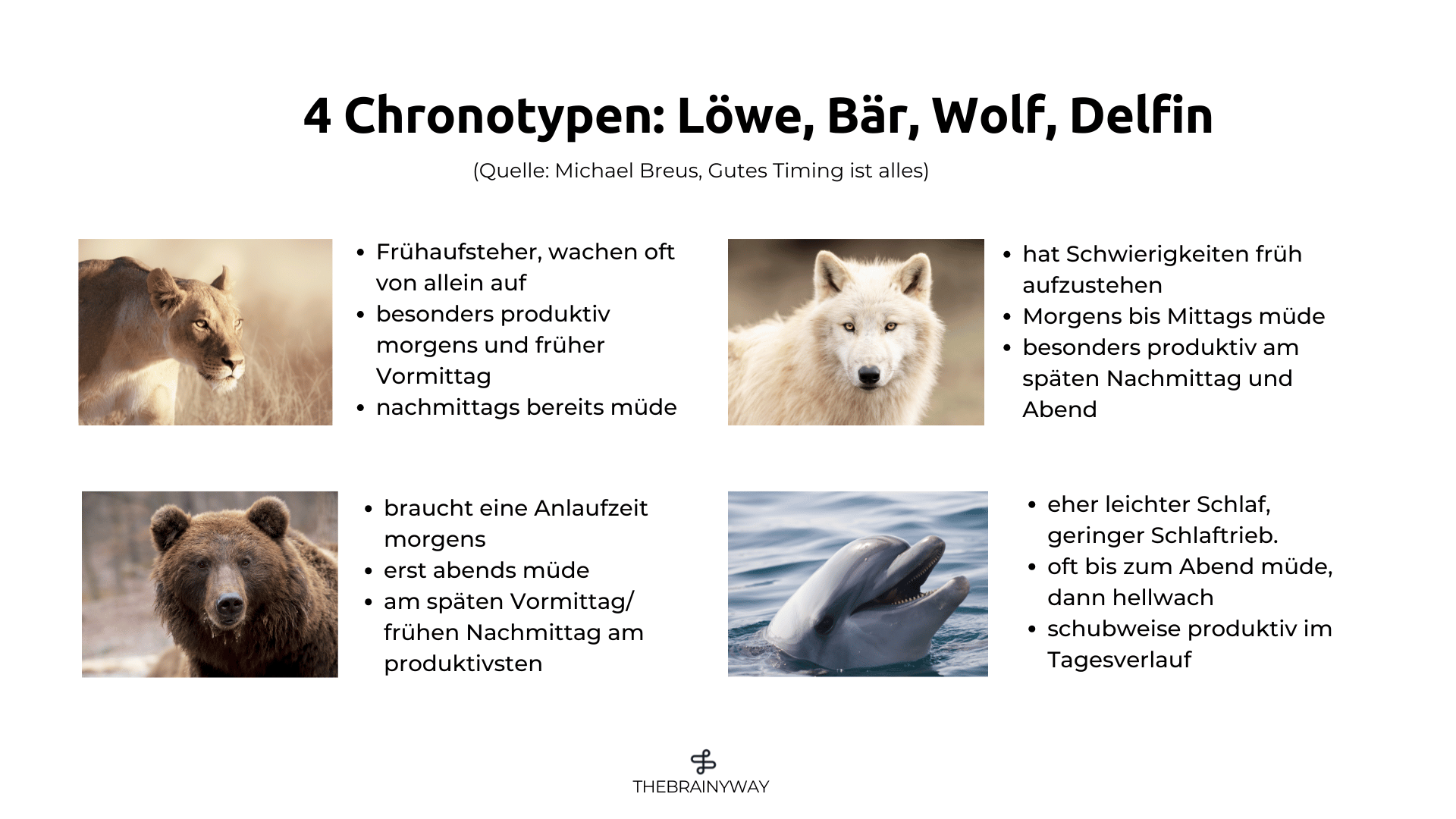 breus-4-chronotypen Die 4 Chronotypen nach Breus: Löwe, Bär, Wolf, Delphin